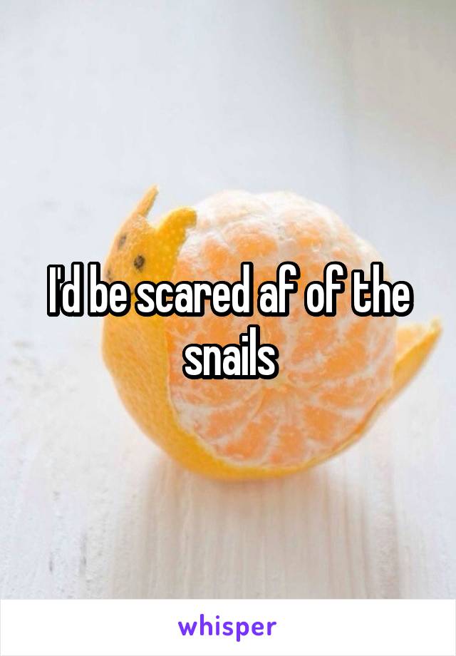 I'd be scared af of the snails