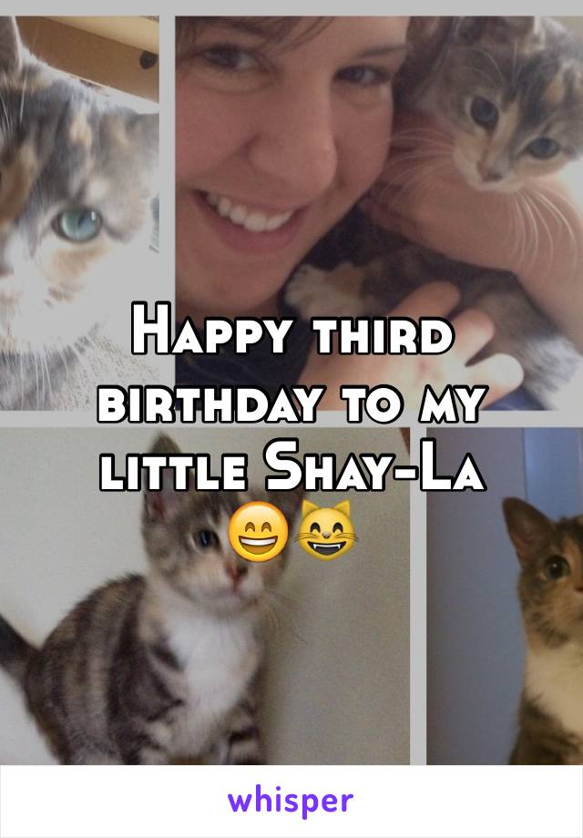 Happy third birthday to my little Shay-La 
😄😸