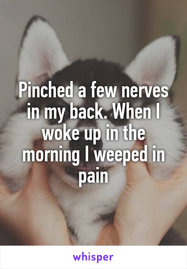 Pinched a few nerves in my back. When I woke up in the morning I weeped in pain