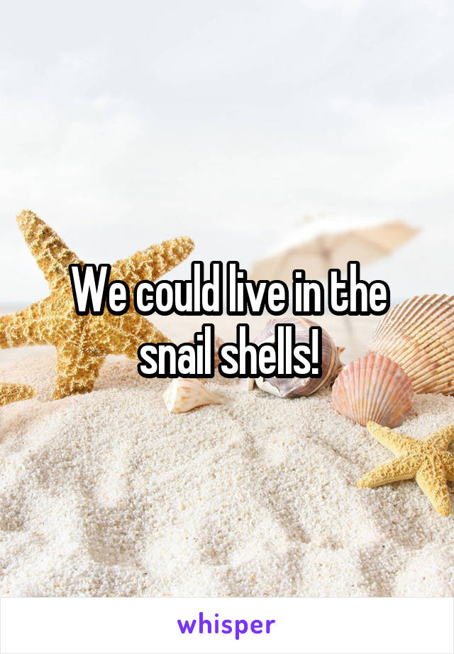 We could live in the snail shells!