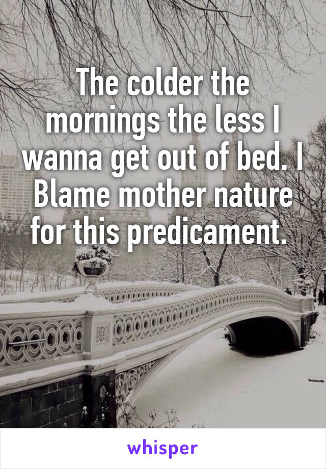 The colder the mornings the less I wanna get out of bed. I Blame mother nature for this predicament. 



