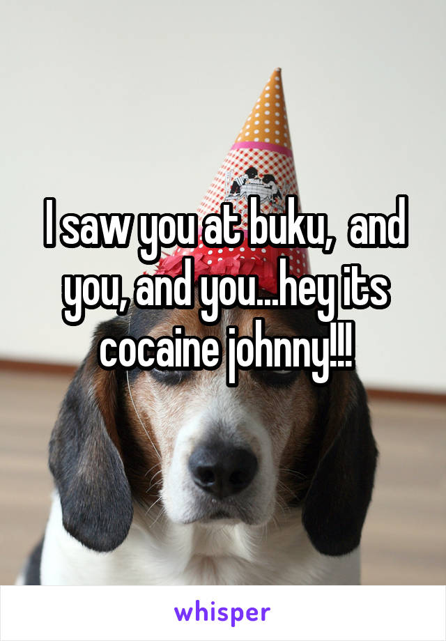 I saw you at buku,  and you, and you...hey its cocaine johnny!!!
