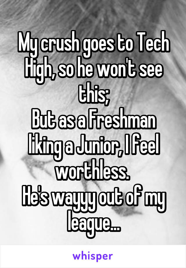 My crush goes to Tech High, so he won't see this;
But as a Freshman liking a Junior, I feel worthless. 
He's wayyy out of my league...