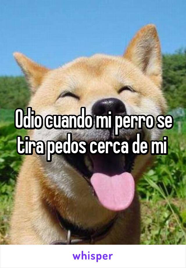 Odio cuando mi perro se tira pedos cerca de mi 