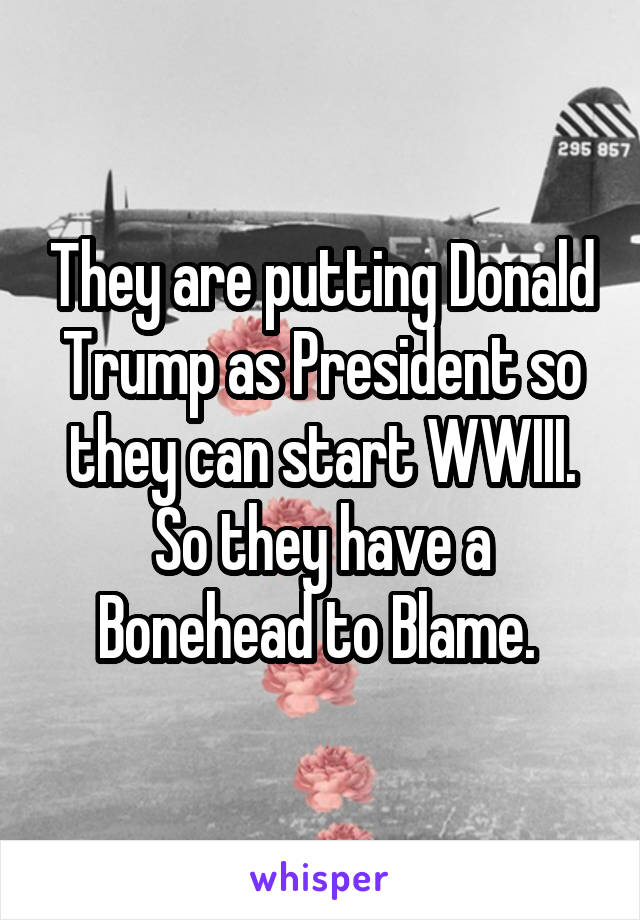 They are putting Donald Trump as President so they can start WWIII. So they have a Bonehead to Blame. 