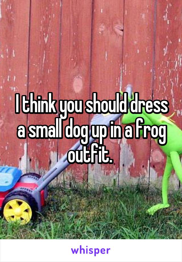 I think you should dress a small dog up in a frog outfit. 