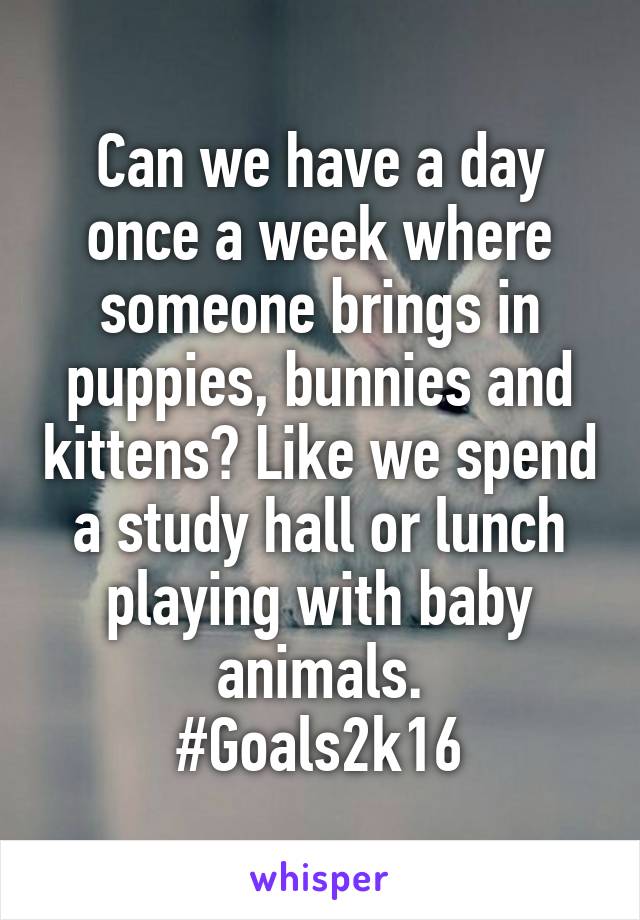 Can we have a day once a week where someone brings in puppies, bunnies and kittens? Like we spend a study hall or lunch playing with baby animals.
#Goals2k16