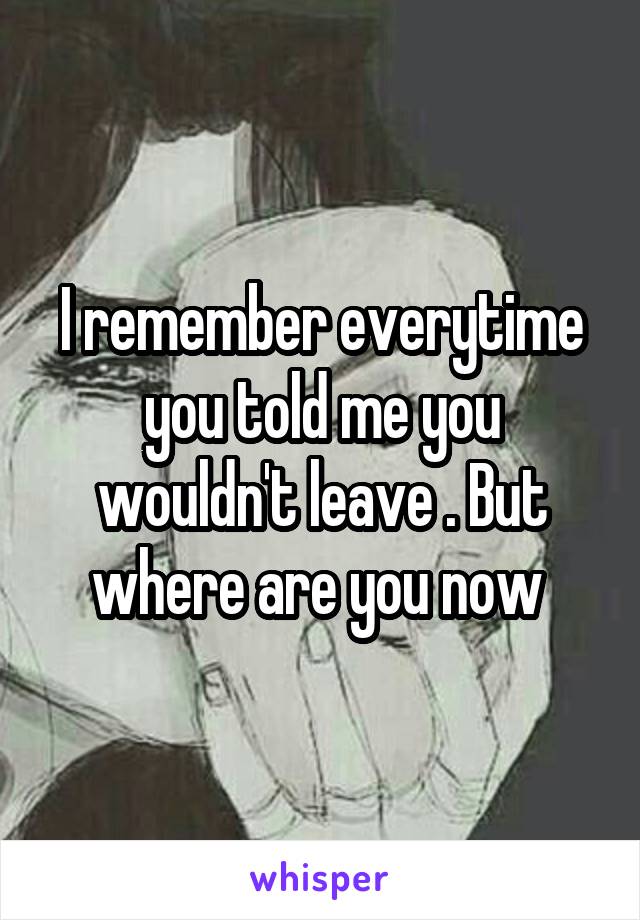 I remember everytime you told me you wouldn't leave . But where are you now 