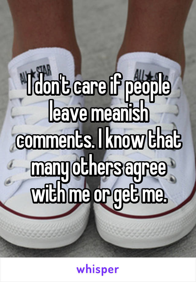 I don't care if people leave meanish comments. I know that many others agree with me or get me.