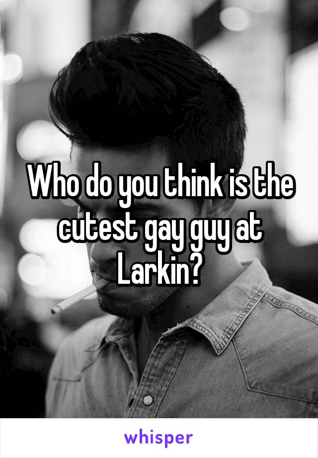 Who do you think is the cutest gay guy at Larkin?