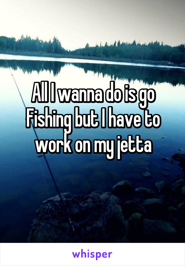 All I wanna do is go Fishing but I have to work on my jetta
