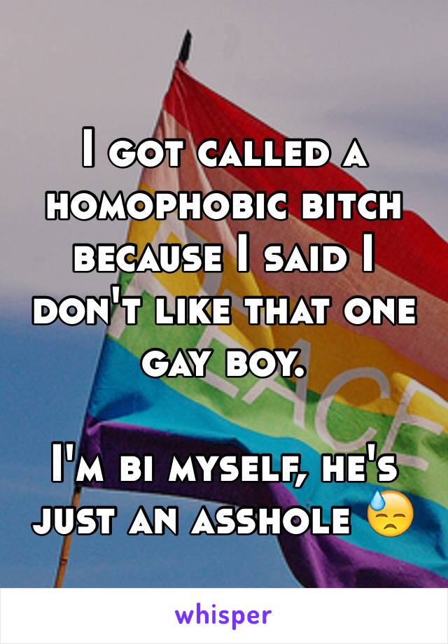 I got called a homophobic bitch because I said I don't like that one gay boy.

I'm bi myself, he's just an asshole 😓