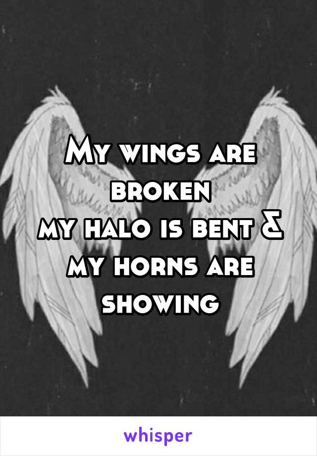 My wings are broken
my halo is bent & my horns are showing