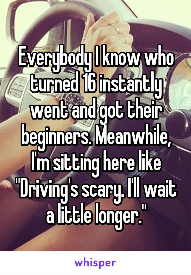 Everybody I know who turned 16 instantly went and got their beginners. Meanwhile, I'm sitting here like "Driving's scary. I'll wait a little longer."