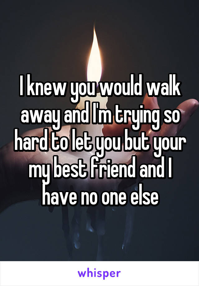 I knew you would walk away and I'm trying so hard to let you but your my best friend and I have no one else