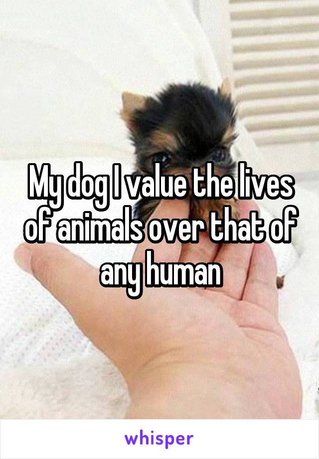 My dog I value the lives of animals over that of any human