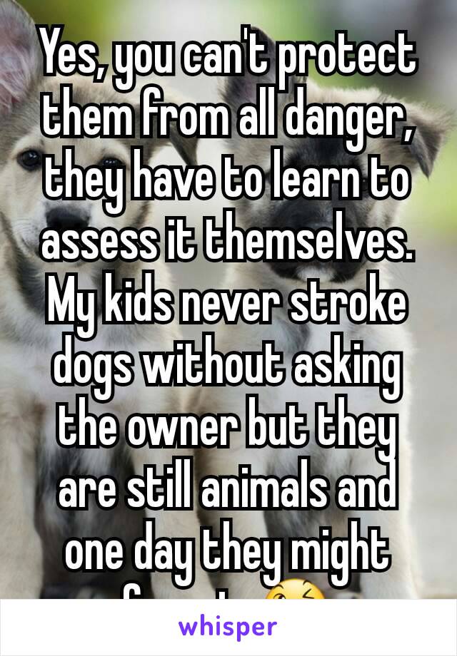 Yes, you can't protect them from all danger, they have to learn to assess it themselves.
My kids never stroke dogs without asking the owner but they are still animals and one day they might forget  😉