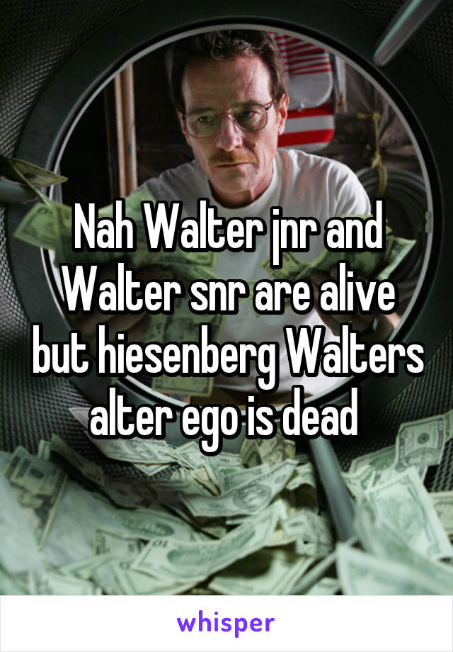 Nah Walter jnr and Walter snr are alive but hiesenberg Walters alter ego is dead 