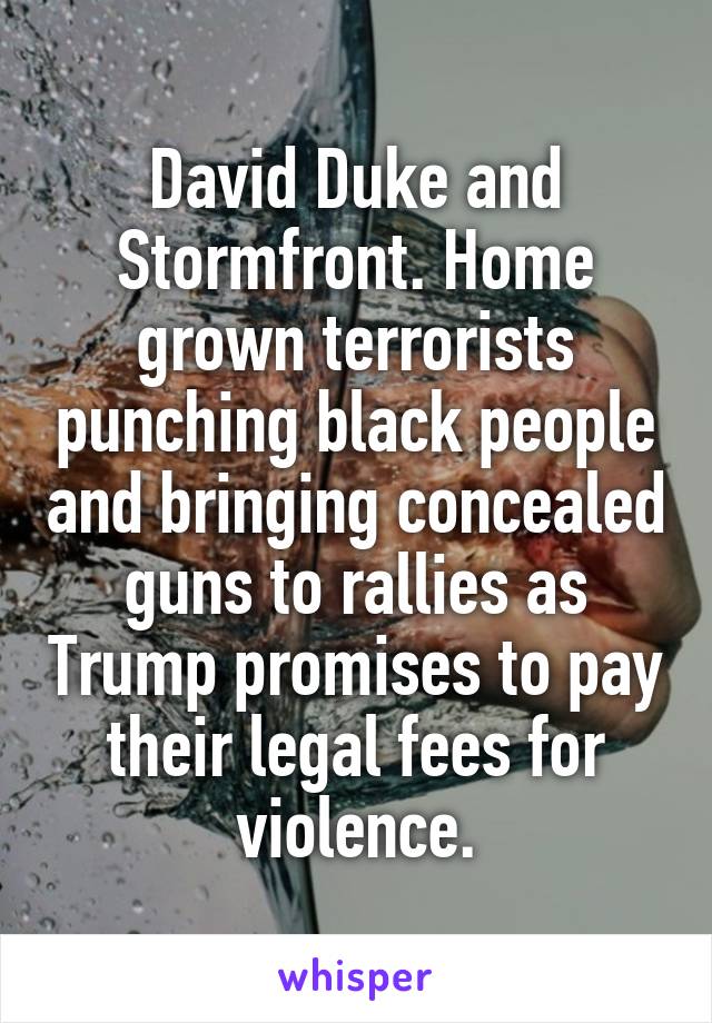 David Duke and Stormfront. Home grown terrorists punching black people and bringing concealed guns to rallies as Trump promises to pay their legal fees for violence.