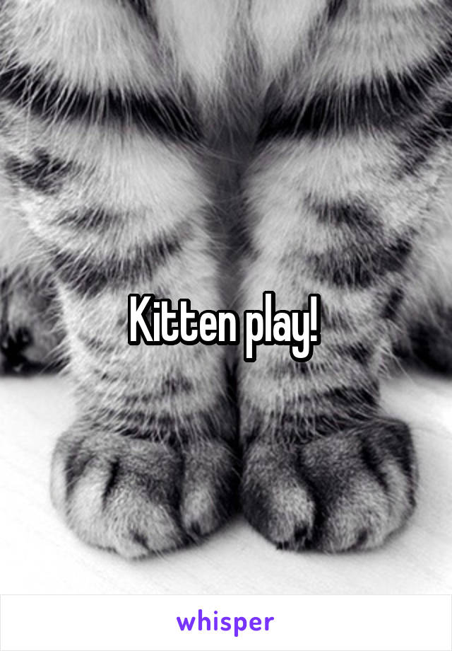 Kitten play! 