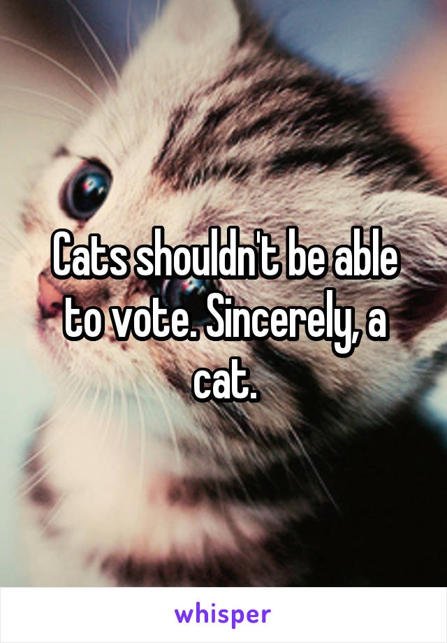 Cats shouldn't be able to vote. Sincerely, a cat.