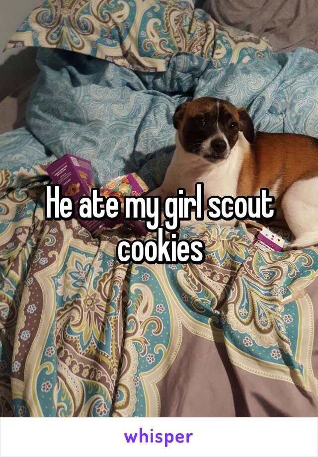 He ate my girl scout cookies