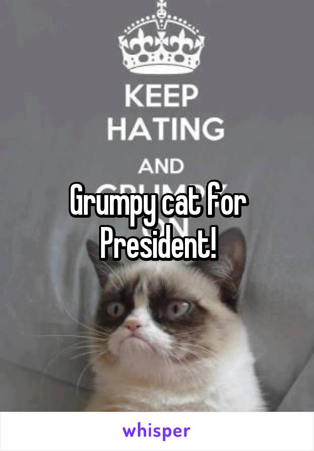 Grumpy cat for President!