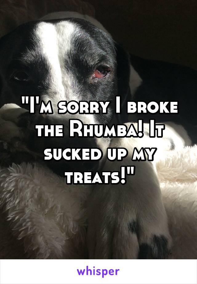 "I'm sorry I broke the Rhumba! It sucked up my treats!"