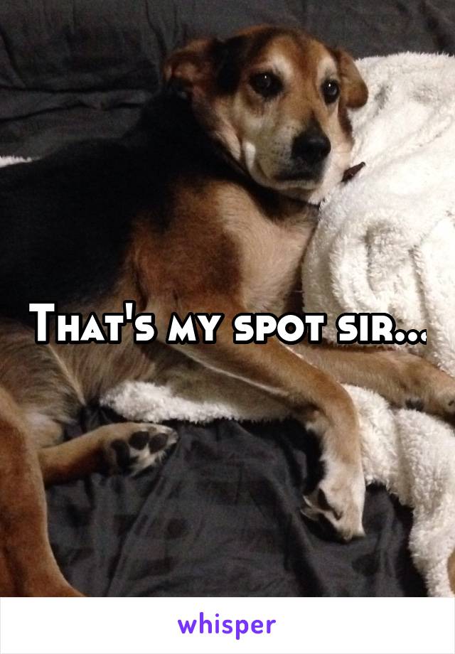 That's my spot sir...