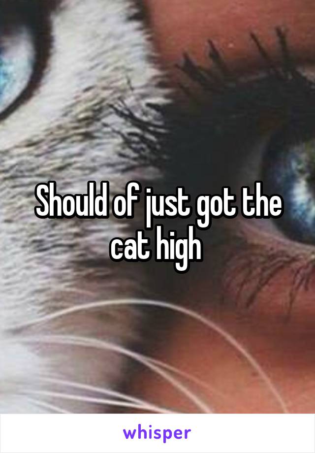 Should of just got the cat high 