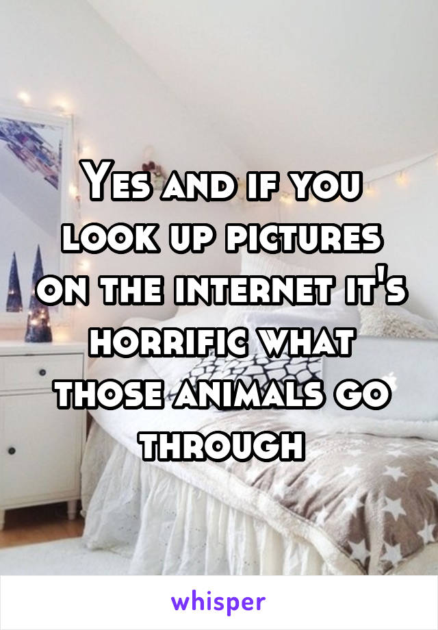 Yes and if you look up pictures on the internet it's horrific what those animals go through