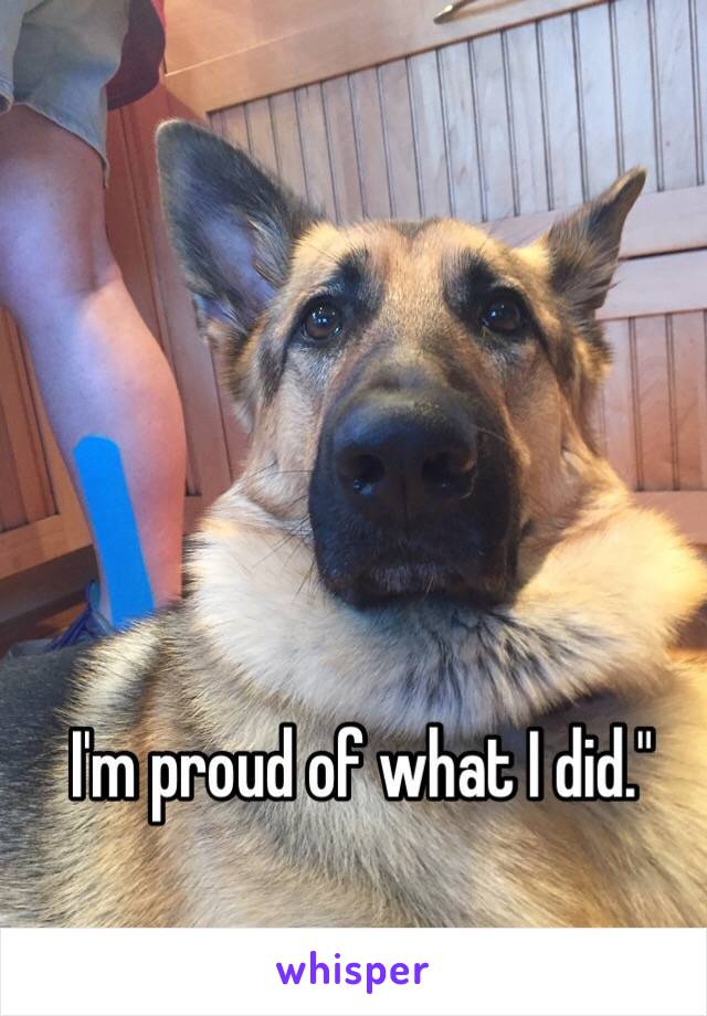  I'm proud of what I did."