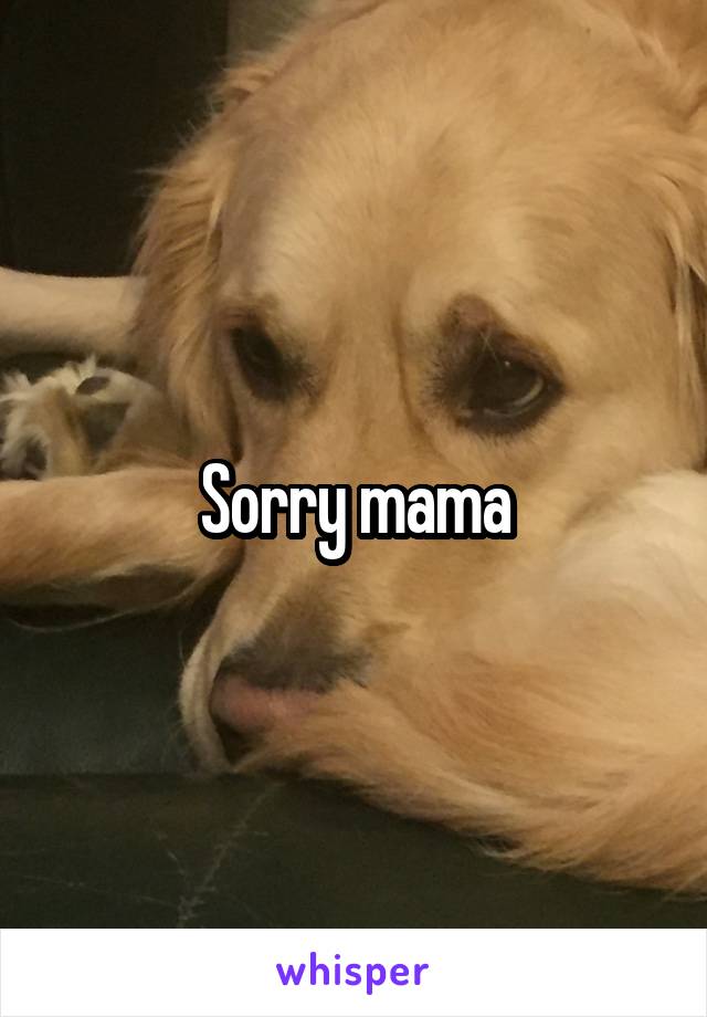 Sorry mama