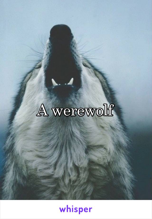 A werewolf 