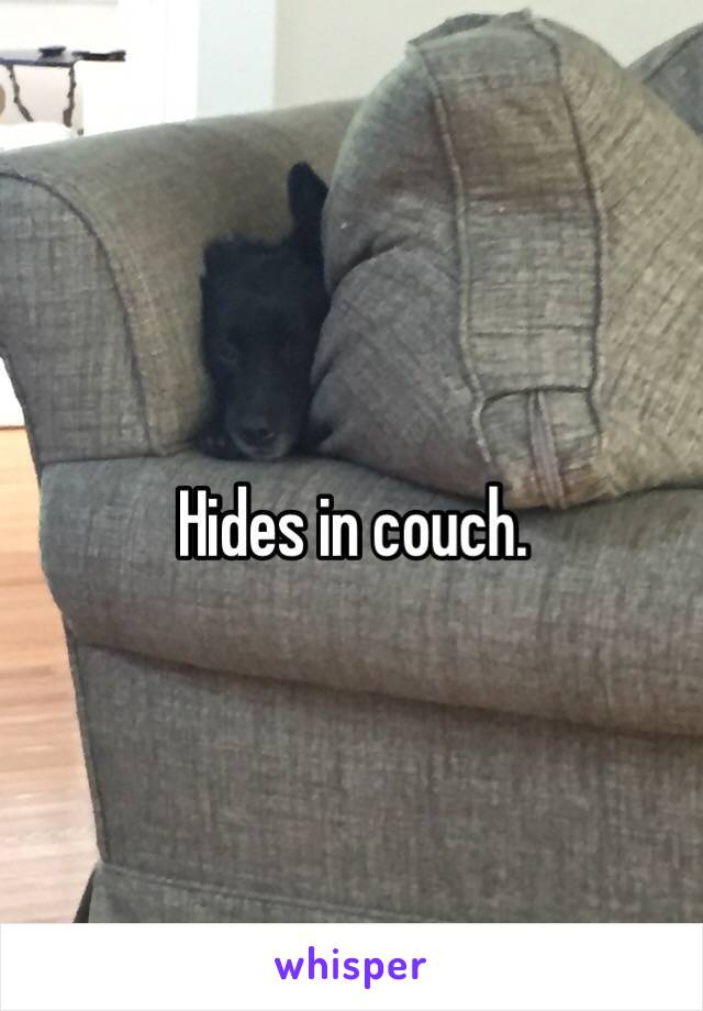 Hides in couch.
