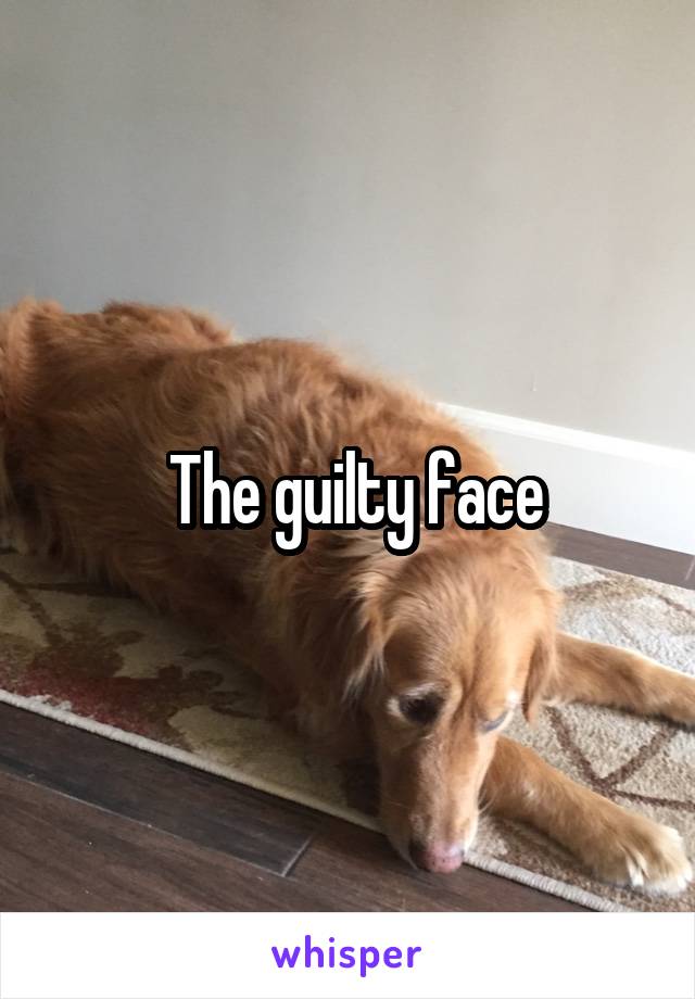  The guilty face