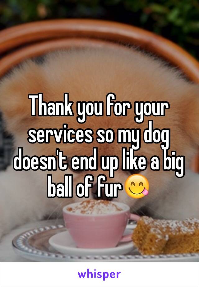 Thank you for your services so my dog doesn't end up like a big ball of fur😋