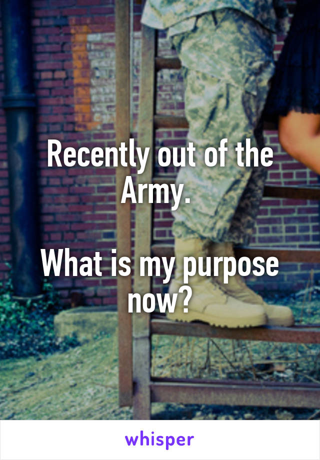 Recently out of the Army. 

What is my purpose now?