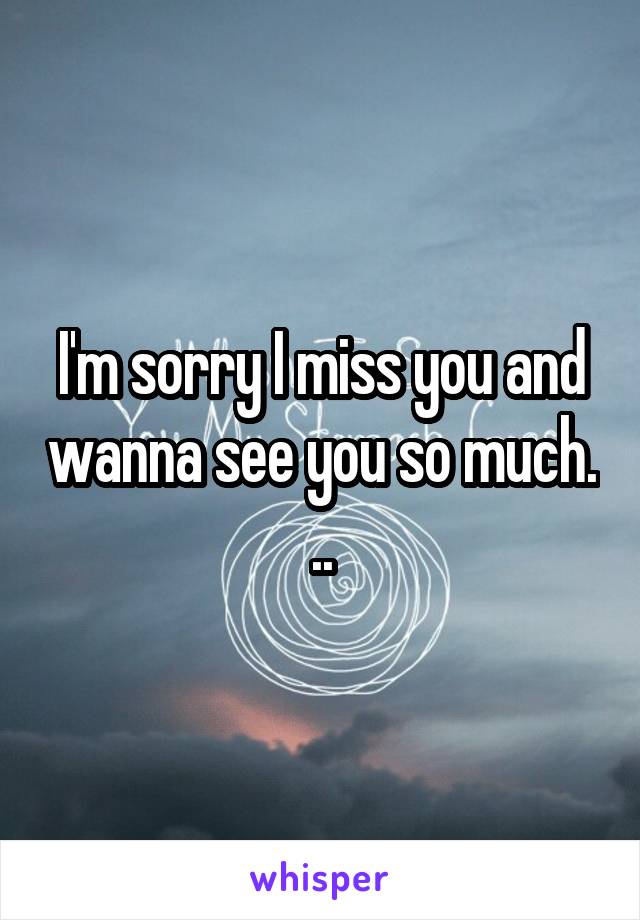 I'm sorry I miss you and wanna see you so much. ..