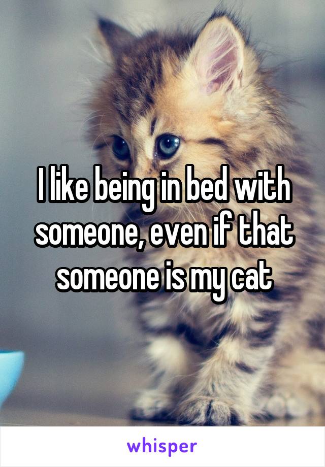 I like being in bed with someone, even if that someone is my cat