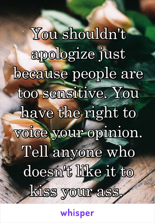 You shouldn't apologize just because people are too sensitive. You have the right to voice your opinion. Tell anyone who doesn't like it to kiss your ass. 