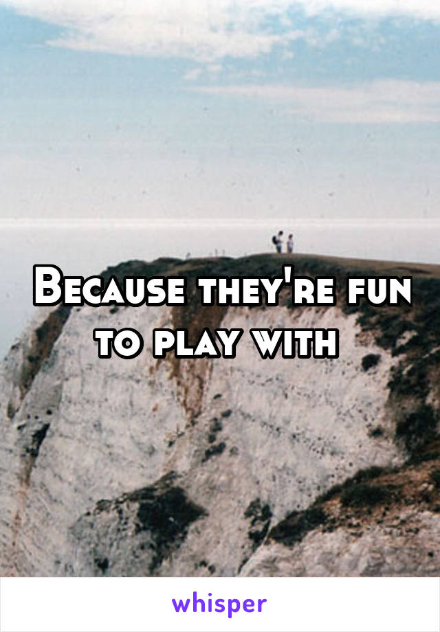 Because they're fun to play with 