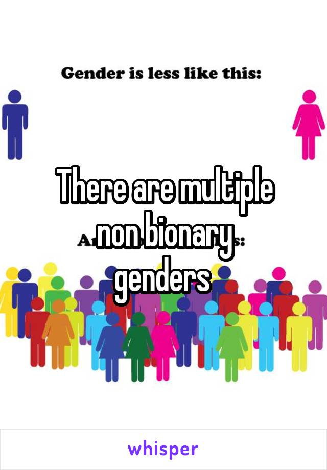 There are multiple
non bionary
genders 