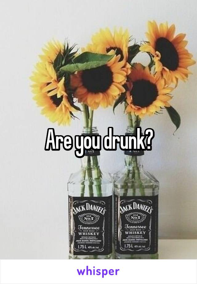 Are you drunk?