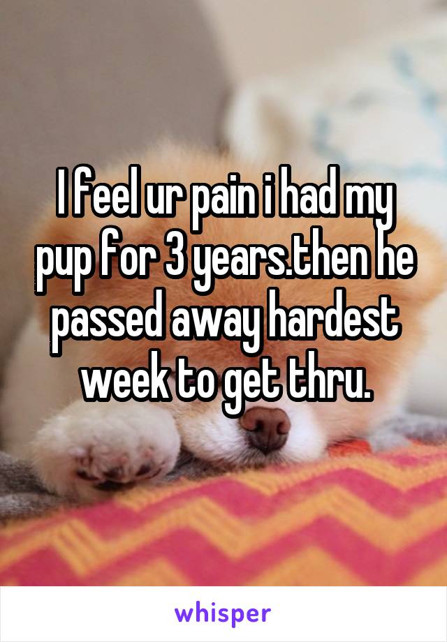 I feel ur pain i had my pup for 3 years.then he passed away hardest week to get thru.
