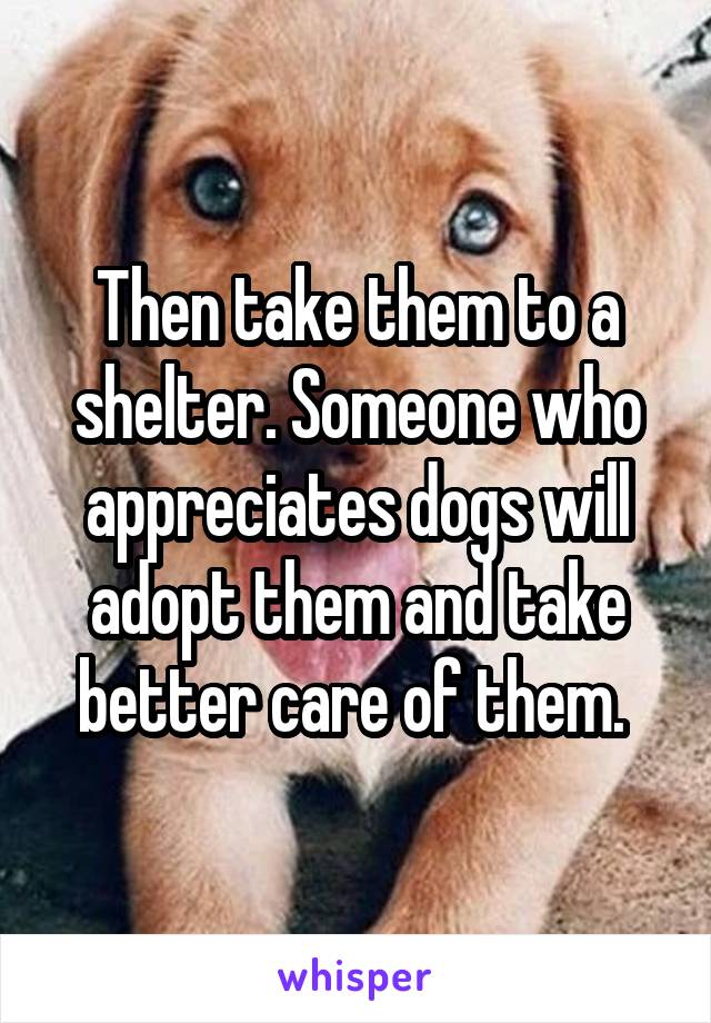 Then take them to a shelter. Someone who appreciates dogs will adopt them and take better care of them. 