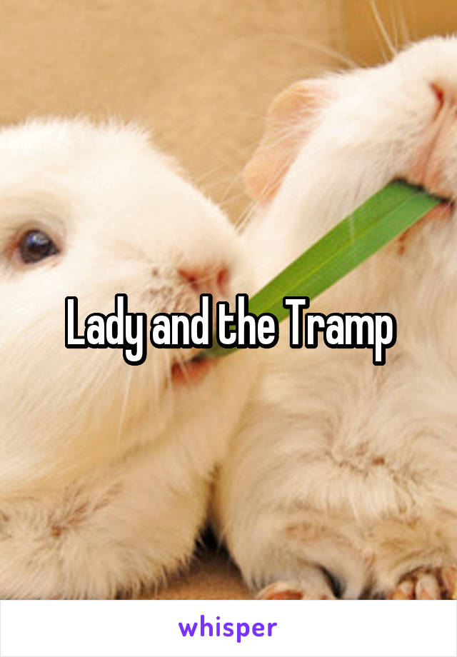 Lady and the Tramp