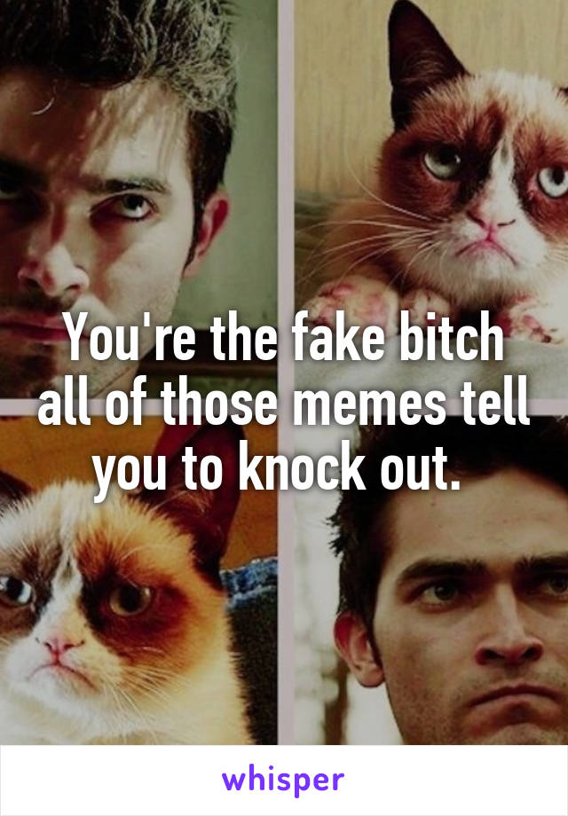 You're the fake bitch all of those memes tell you to knock out. 