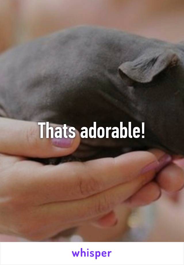 Thats adorable!