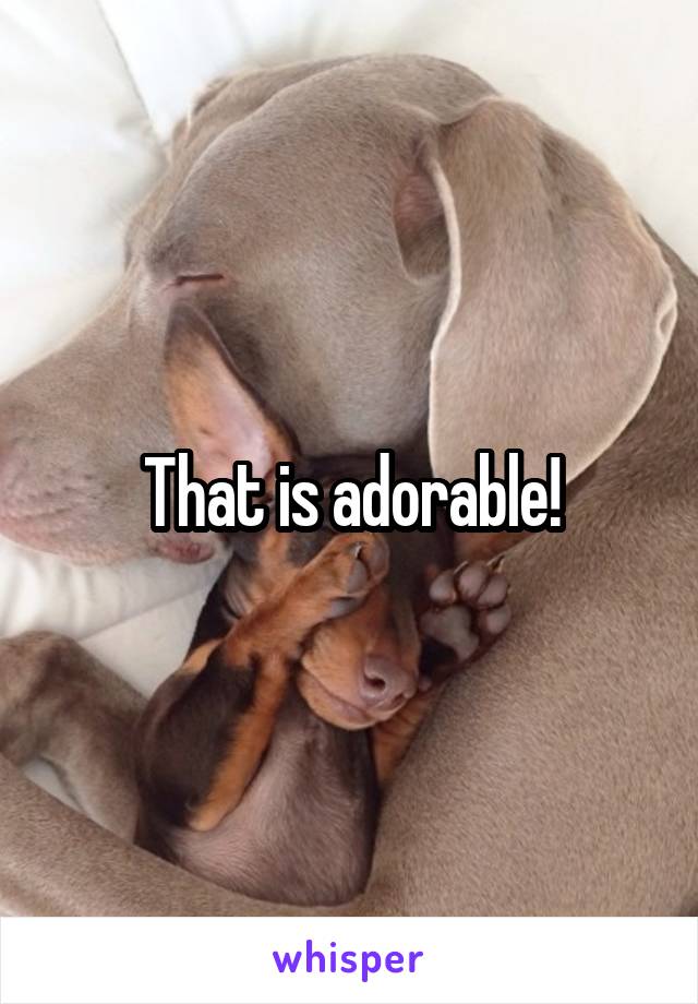 That is adorable!